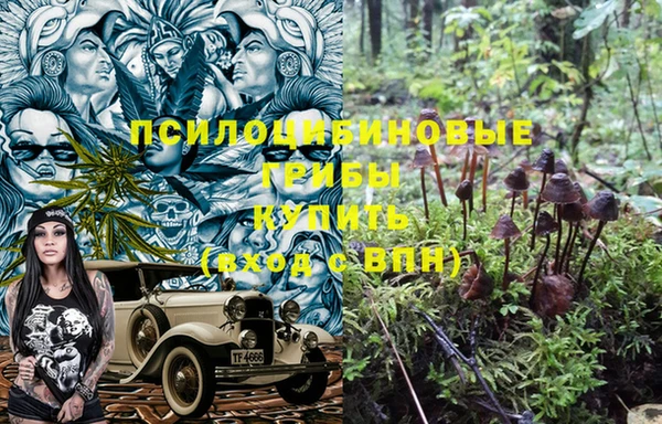 PSILOCYBIN Аркадак