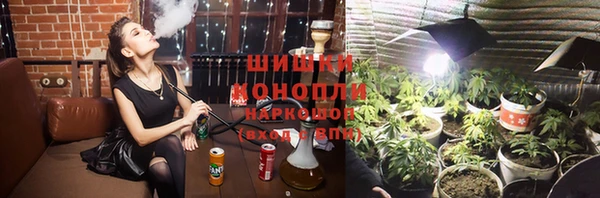 дмт Алексин