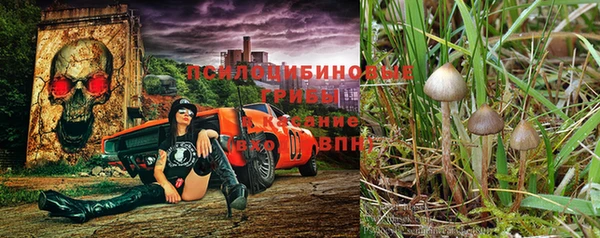 дмт Алексин