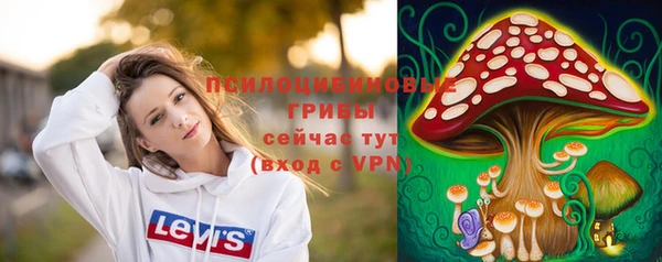 дмт Алексин